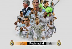 科比最后烧成了什么呀，科比最后怎样了？