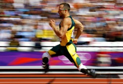 萨博尼斯在哪个队，萨博尼斯什么水平